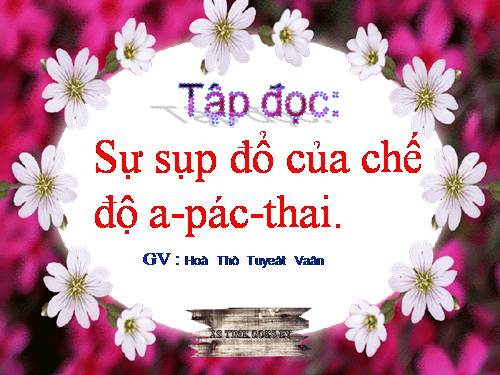 Tuần 6. Sự sụp đổ của chế độ A-pác-thai