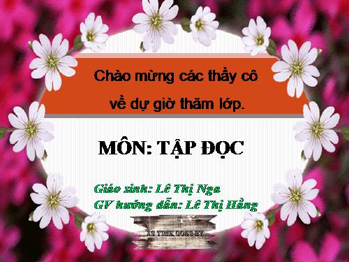 Tuần 29. Một vụ đắm tàu