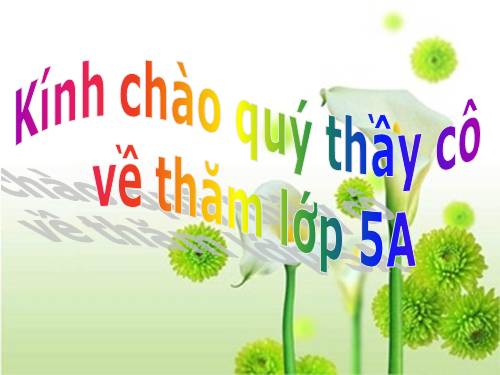 Tuần 30. Tà áo dài Việt Nam