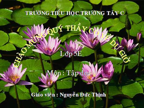 Tuần 14. Chuỗi ngọc lam