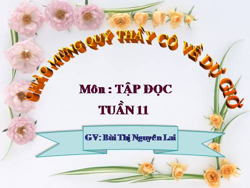 Tuần 11. Chuyện một khu vườn nhỏ