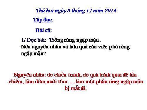 Tuần 14. Chuỗi ngọc lam