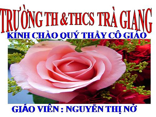 Tuần 13. Trồng rừng ngập mặn