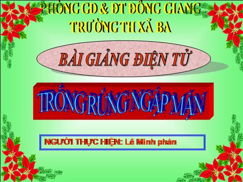 Tuần 13. Trồng rừng ngập mặn