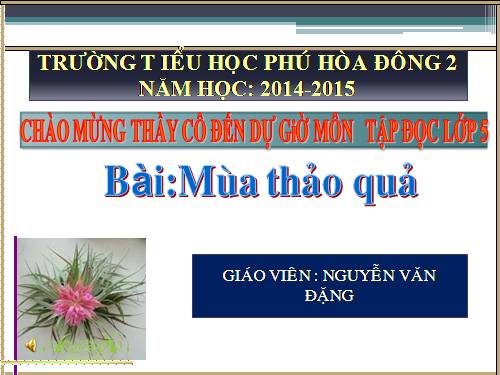 Tuần 12. Mùa thảo quả