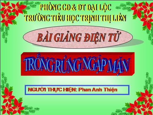 Tuần 13. Trồng rừng ngập mặn