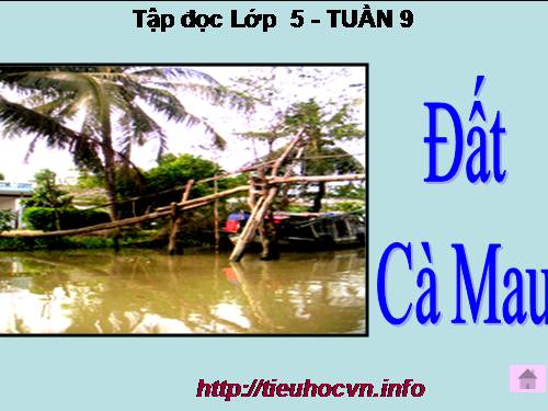 Tuần 9. Đất Cà Mau