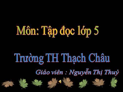 Tuần 13. Trồng rừng ngập mặn