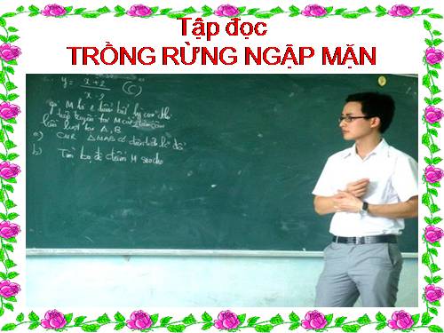Tuần 13. Trồng rừng ngập mặn
