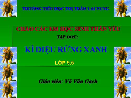 Tuần 8. Kì diệu rừng xanh