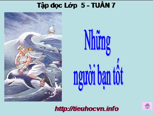 Tuần 7. Những người bạn tốt