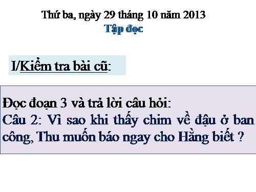 Tuần 12. Mùa thảo quả