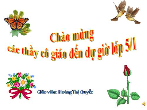 Tuần 5. Một chuyên gia máy xúc