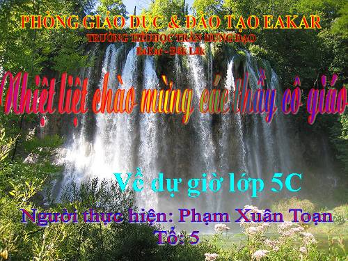 Tuần 8. Kì diệu rừng xanh