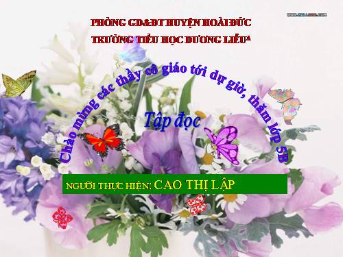 Tuần 5. Một chuyên gia máy xúc