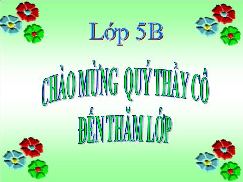 Tuần 31. Công việc đầu tiên