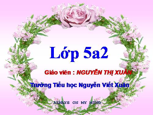 Tuần 7. Tiếng đàn ba-la-lai-ca trên sông Đà