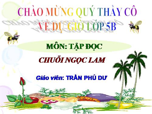 Tuần 14. Chuỗi ngọc lam