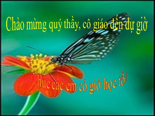 Tuần 9. Đất Cà Mau