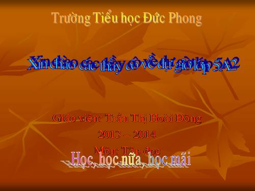 Tuần 31. Công việc đầu tiên