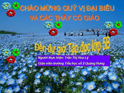 Tuần 30. Tà áo dài Việt Nam