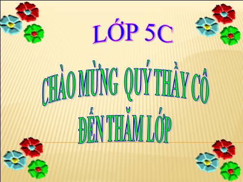 Tuần 31. Công việc đầu tiên