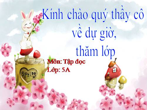 Tuần 29. Một vụ đắm tàu