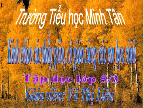 Tuần 8. Kì diệu rừng xanh