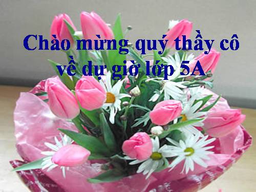 Tuần 27. Đất nước