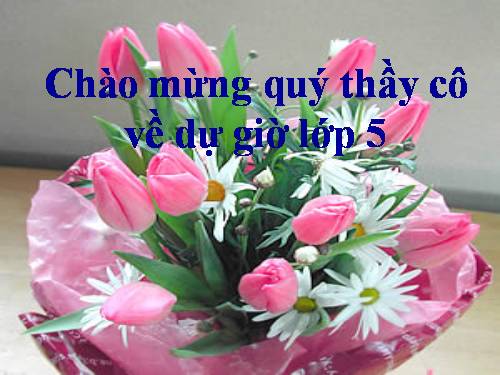 Tuần 27. Đất nước