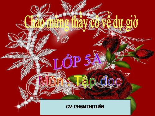 Tuần 23. Chú đi tuần