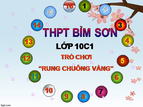 Tìm hiểu về Tết