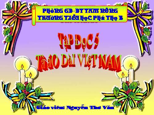 Tuần 30. Tà áo dài Việt Nam