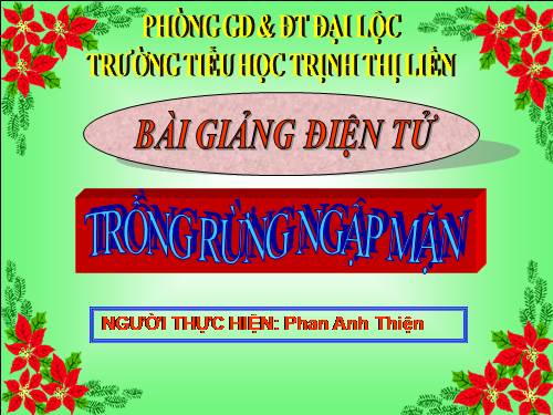 Tuần 13. Trồng rừng ngập mặn