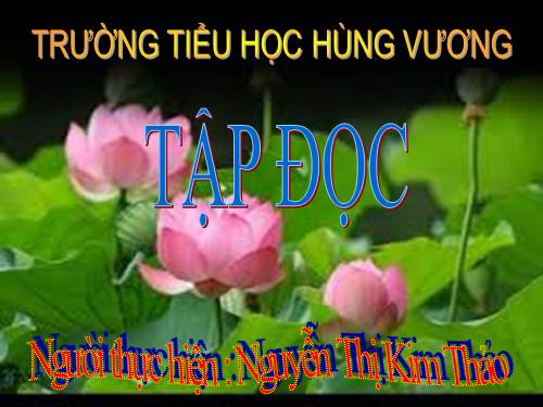 Tuần 19. Người công dân số Một