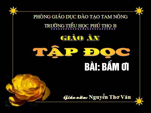 Tuần 31. Bầm ơi