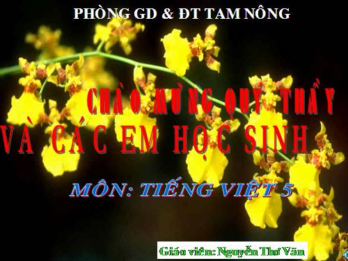 Tuần 29. Một vụ đắm tàu