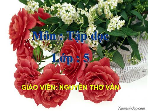 Tuần 33. Sang năm con lên bảy