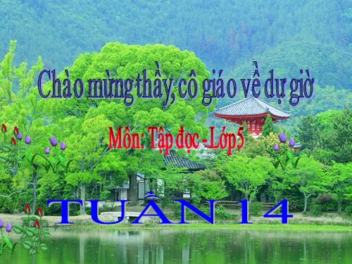 Tuần 14. Chuỗi ngọc lam