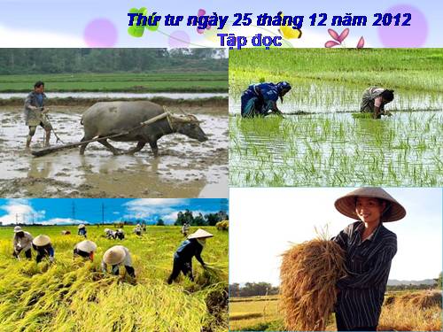 Tuần 17. Ca dao về lao động sản xuất