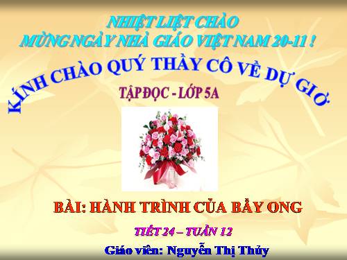 Tuần 12. Hành trình của bầy ong