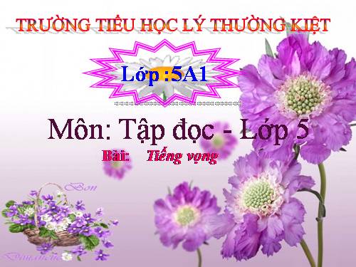 Tuần 11. Tiếng vọng