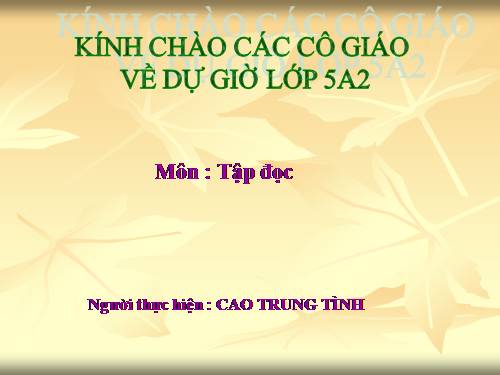 Tuần 13. Người gác rừng tí hon