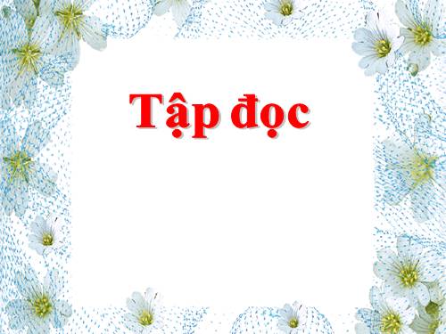 Tuần 12. Mùa thảo quả