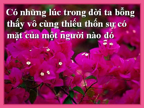hạnh phúc 1