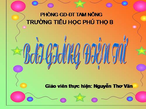 Tuần 13. Trồng rừng ngập mặn