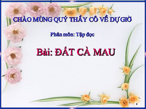 Tuần 9. Đất Cà Mau