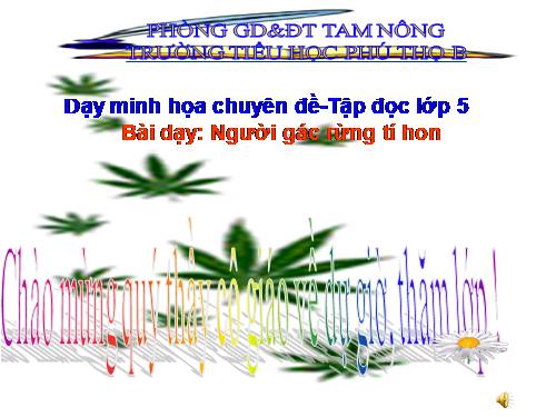 Tuần 13. Người gác rừng tí hon