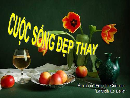 Cuộc sống đẹp thay