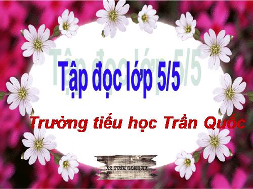 Tuần 11. Chuyện một khu vườn nhỏ